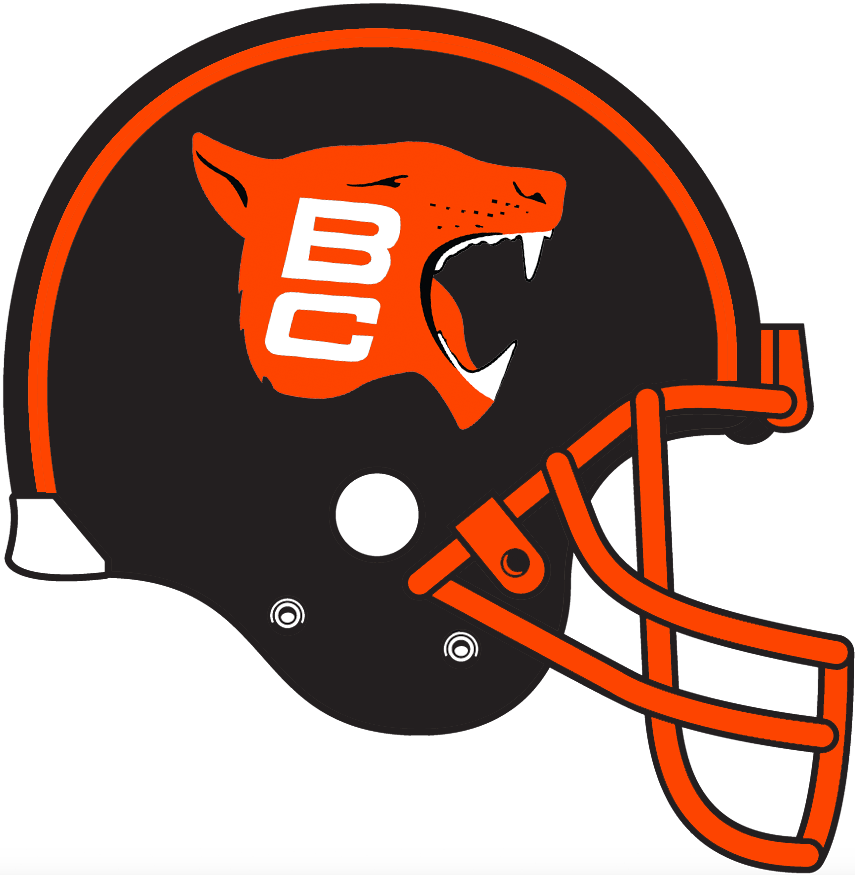 BC Lions 1976-1977 Helmet Logo iron on paper